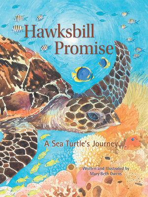 cover image of Hawksbill Promise